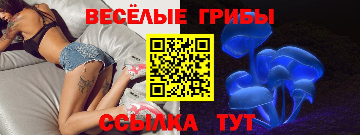 Псилоцибиновые грибы GOLDEN TEACHER  Вход с VPN  Сыктывкар 